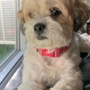 Meet your Posher, Angelina